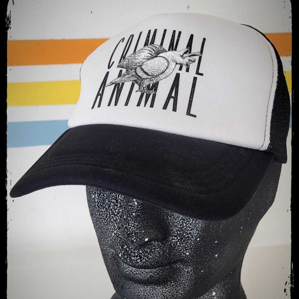 Casquette